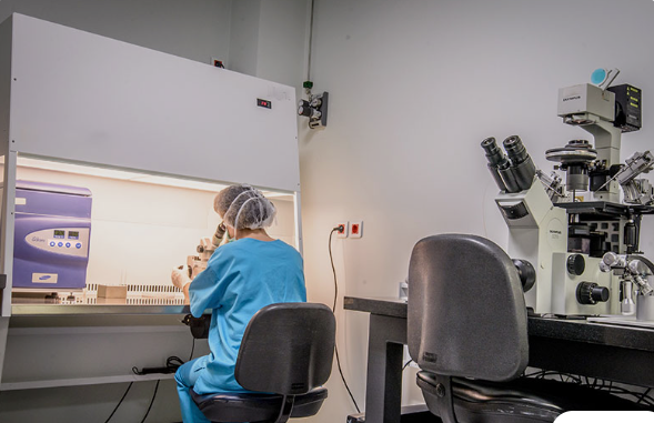 IVF treatment center in Mumbai