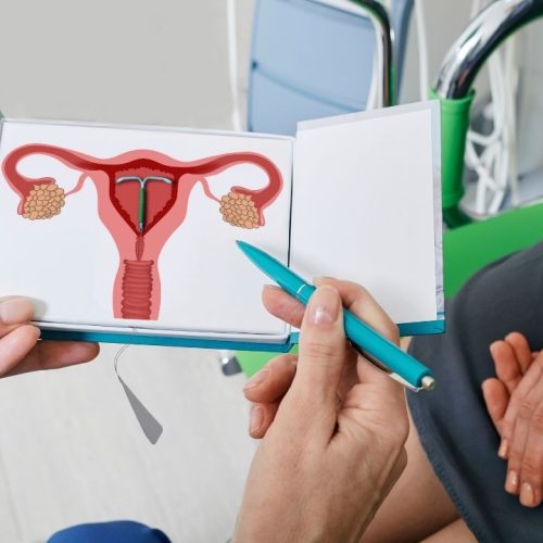 Top-Rated Women’s Health Expert: Discover the Best Gynaecologist in Chandigarh for Comprehensive Care