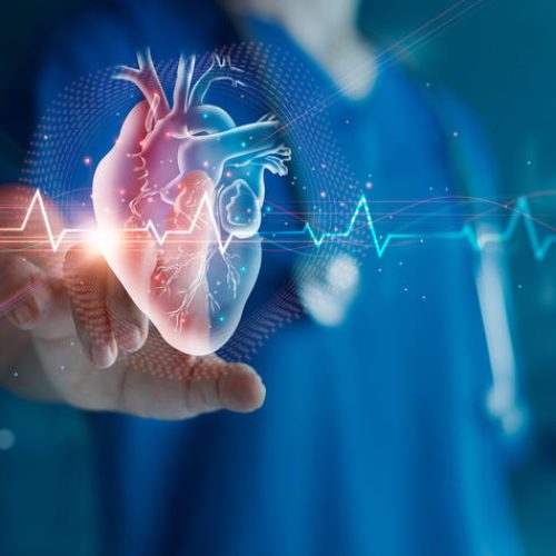 The Pulse of Punjab: Top Heart Specialists Making a Difference