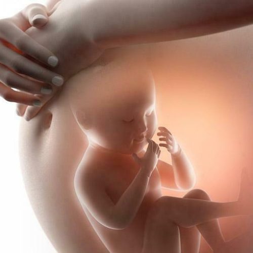 <strong>Gynecologists Making a Difference in Women’s Wellness Care in Chandigarh</strong>