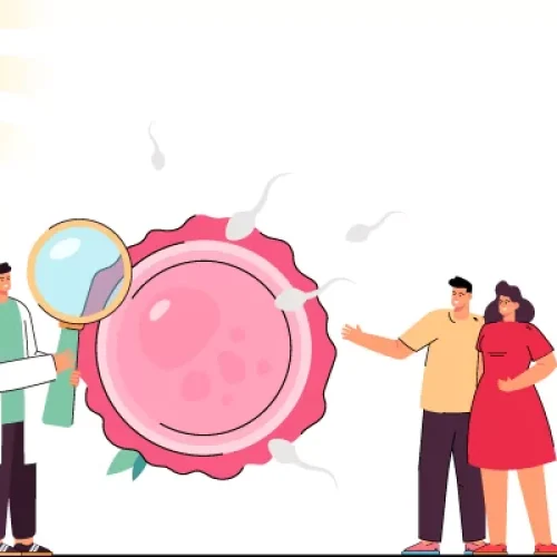 The cost is one of the key reasons most couples choose to have their procedure completed by the best IVF specialist in Panchkula