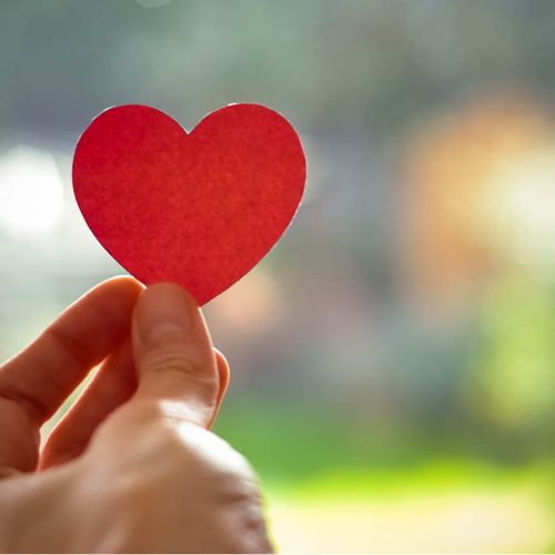 Heart Healers of Punjab: Discovering the Best Specialist for Cardiac Care