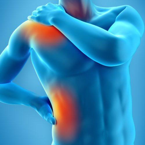 Orthopaedic Trauma: Fractures, Dislocations, Soft Tissue Injuries