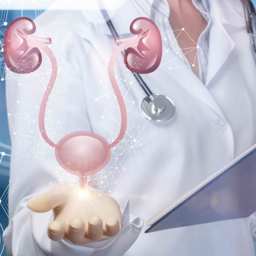 The Urologist’s Toolkit: A Look at Their Knowledge