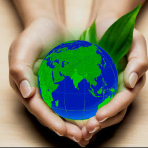 Pollution control consultant Punjab