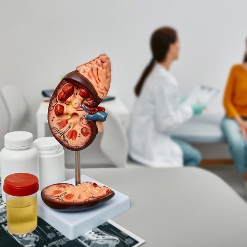 <strong>Revolutionizing Urology: Inside the Practice of Ludhiana’s Leading Specialist</strong>