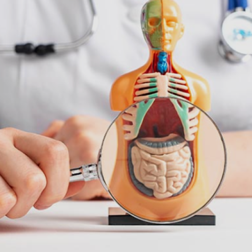 stomach specialist in Chandigarh