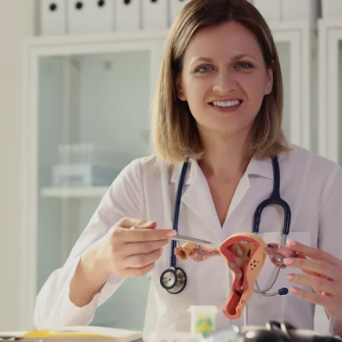 best gynecologist in Chandigarh