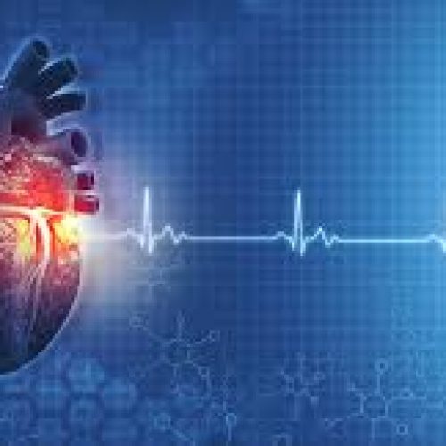 best cardiologist in Chandigarh