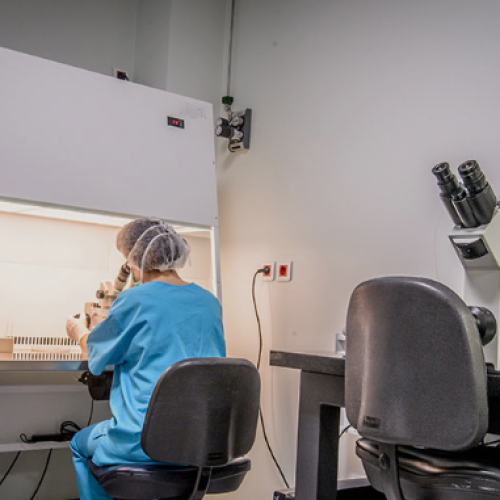 IVF treatment center in Mumbai