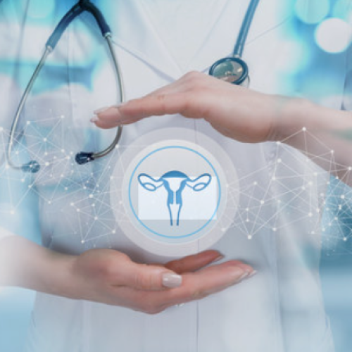 gynae doctor in Chandigarh
