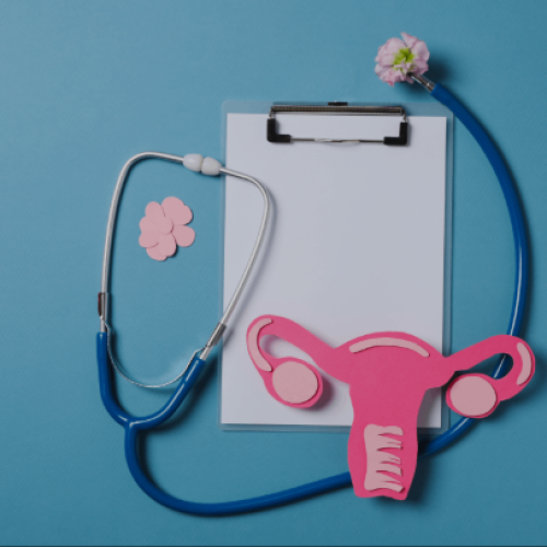 best gynecologist in Chandigarh