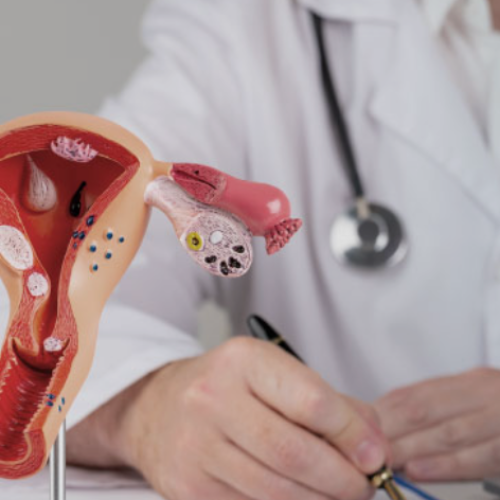 Gyne clinic in Chandigarh