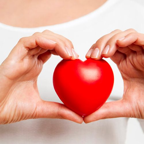 Cardiovascular Risk Assessment: Best Cardiologists in Panchkula