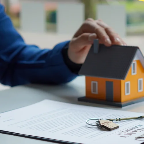 Professionals Real Estate
