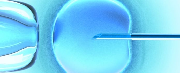 Scientists Slam CRISPR Infants Experiment After Findings Modified into Public For First Time – ScienceAlert