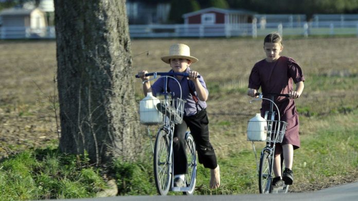 A Genetic Mutation Is Guilty for Mysterious Deaths within the Amish Neighborhood, Researchers Bid – Gizmodo