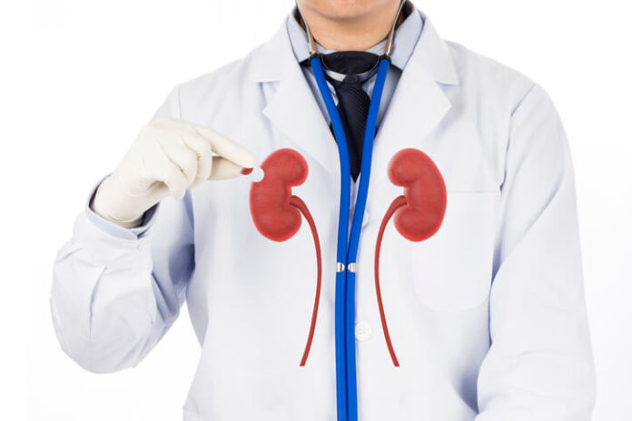 best nephrologist in Ludhiana