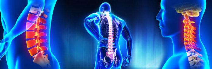 spine surgeon in Chandigarh