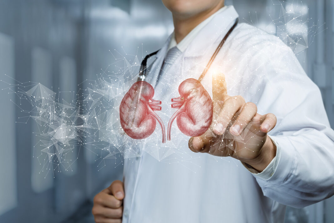 best kidney doctor in Ludhiana