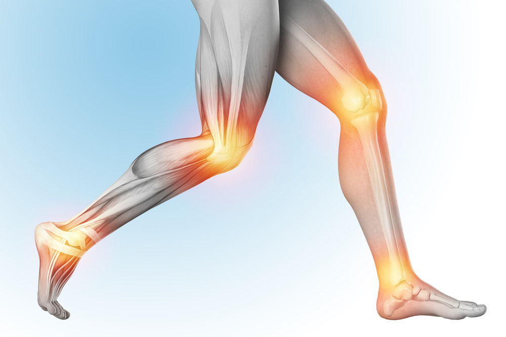 Finding the Best Orthopedic Doctor in Mumbai for Your Bone and Joint Health