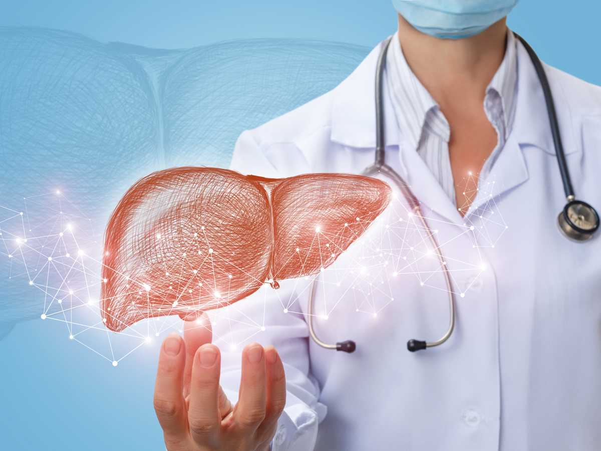 Doctor shows liver in hand on a blue background.