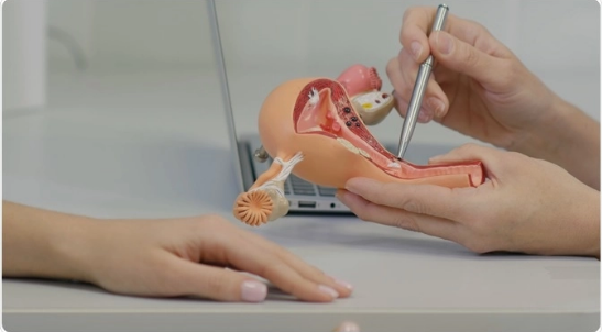 Trusted Uterus Removal Expert in Mohali – Safe & Advanced Care