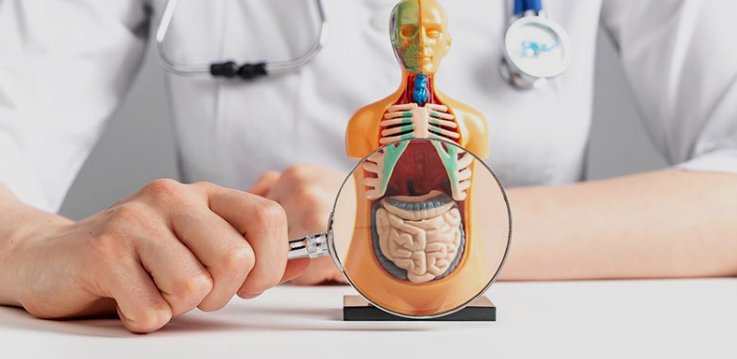 stomach specialist in Chandigarh