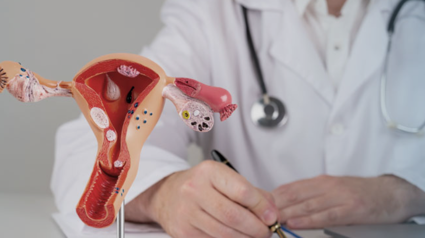 Gyne clinic in Chandigarh