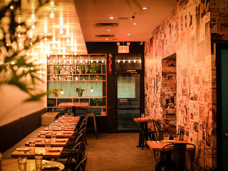 Best Indian Restaurants in Adelaide City: A Food Lover's Guide